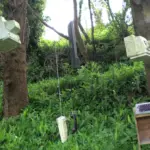 Vecchi monitor, tastiere e apparecchi elettronici appesi agli alberi nel bosco