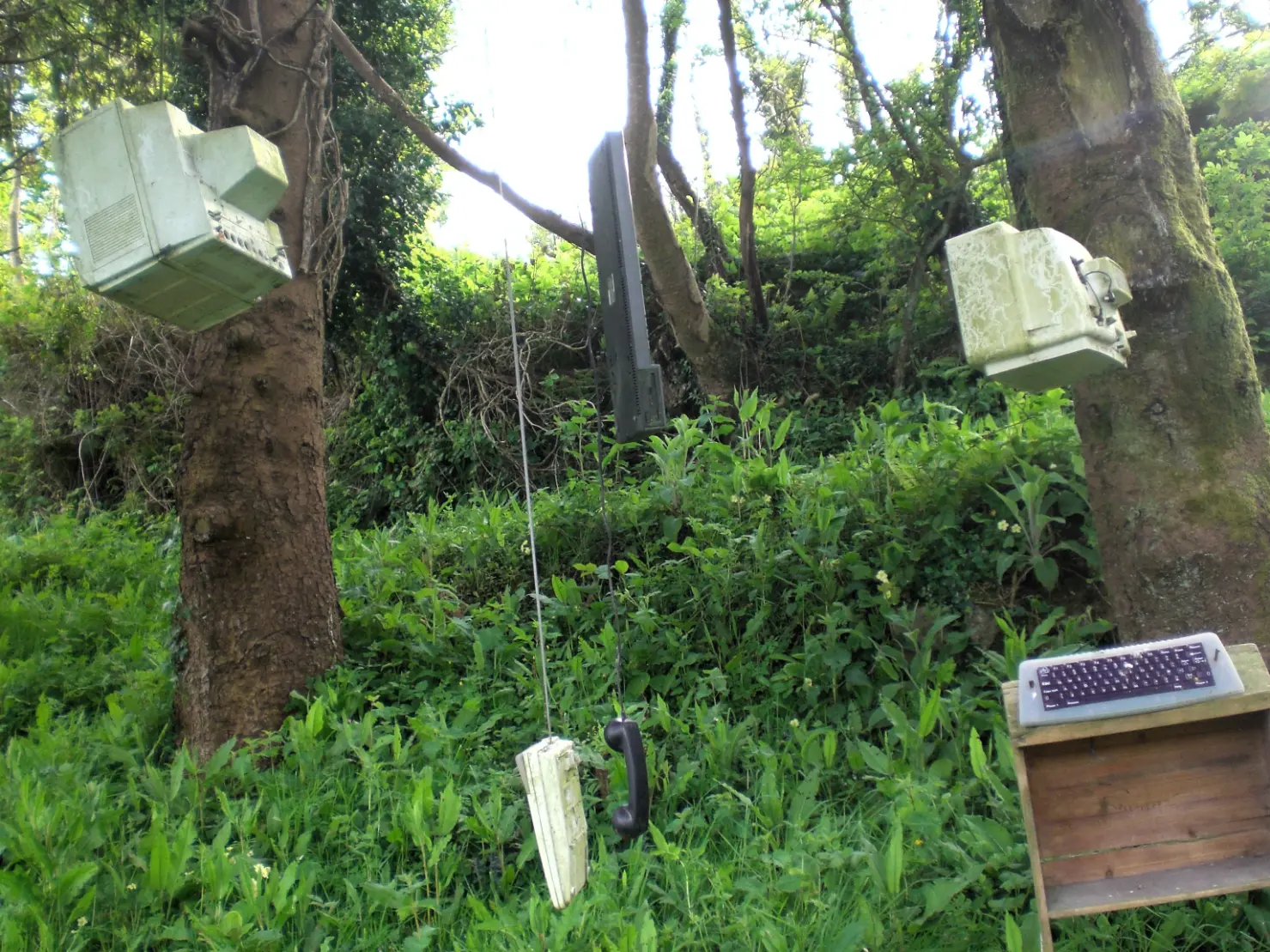 Vecchi monitor, tastiere e apparecchi elettronici appesi agli alberi nel bosco