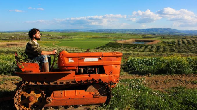 wwoof, viaggiare gratis, vacanza in fattoria