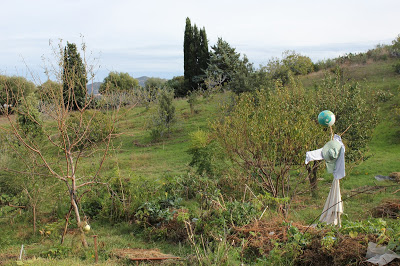 Permacultura applicata in Sardegna: le foto di Funtaneddas