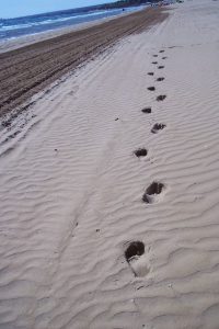 Orme sulla spiaggia