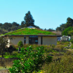 erbe medicinali, Tamera, Portogallo, comunità intenzionale, ecovillaggio