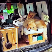 girl-restores-van-travels-with-dog-marina-piro-16 (2)