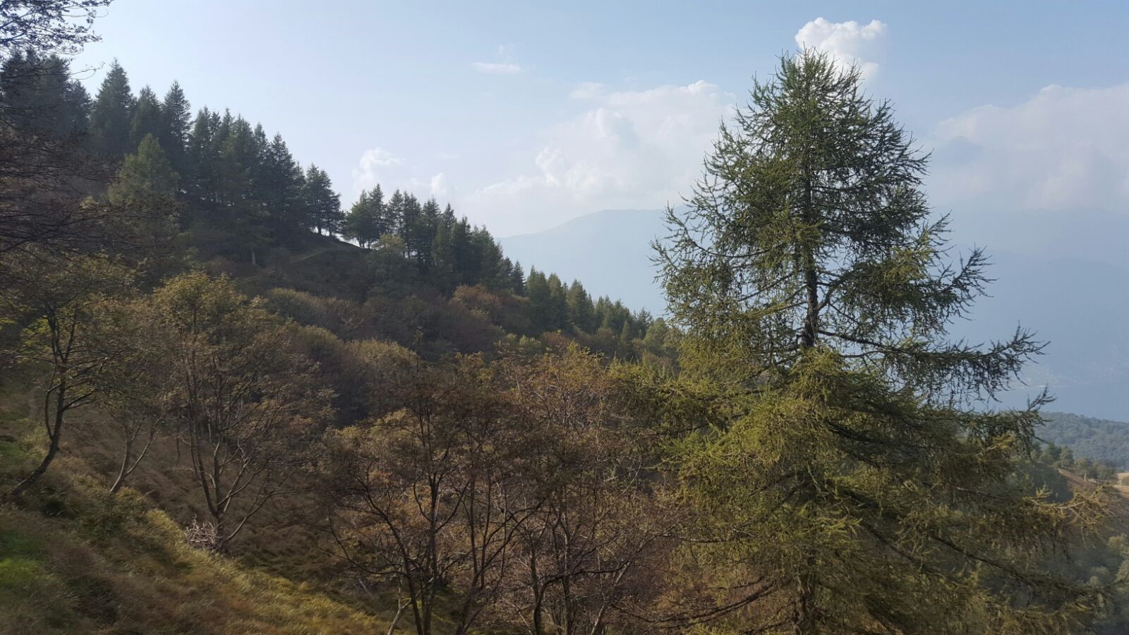 Foto del trekking nella valle del Giumello