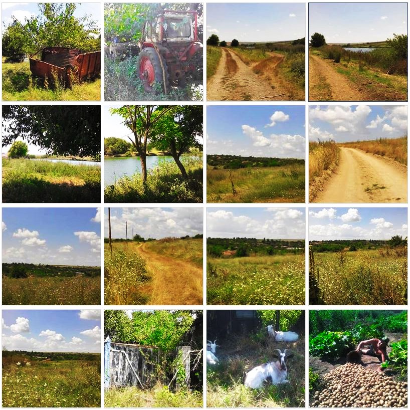 Eco-villaggio in Bulgaria: le foto dell’iniziativa