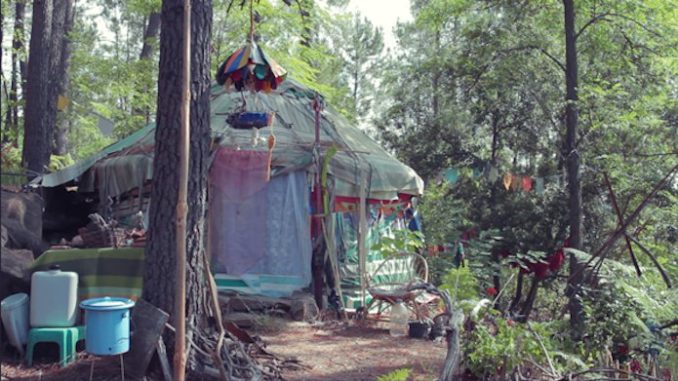 vivere in una yurta in mezzo alla natura