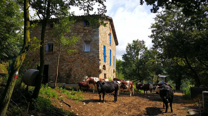wwoof in spagna
