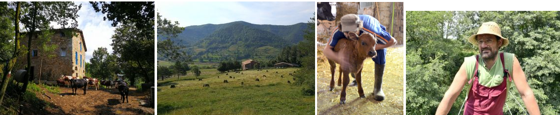 wwoof in spagna