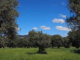 ecovillaggio in puglia