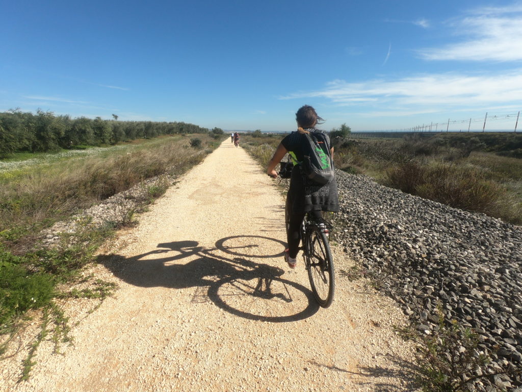 Pedalare in Puglia, guida e itinerari per tutti.