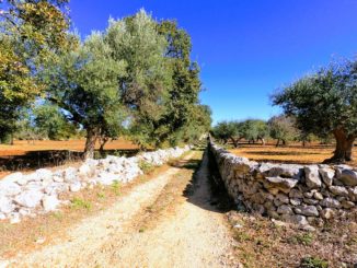 Pedalare in Puglia