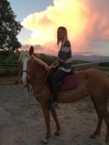 travel with a horse, travelling with my horse
