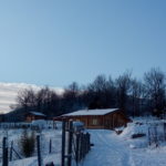 casa di legno, comunità, inverno, neve, basilicata