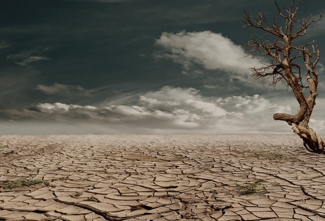 cambiamento climatico, deserto, clima secco, spoglio, disastri naturali, apocalisse, futuro, incognita