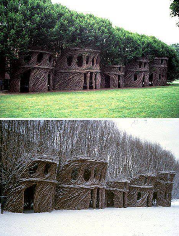 case albero, alberi modellati in case, arte, bioedilizia