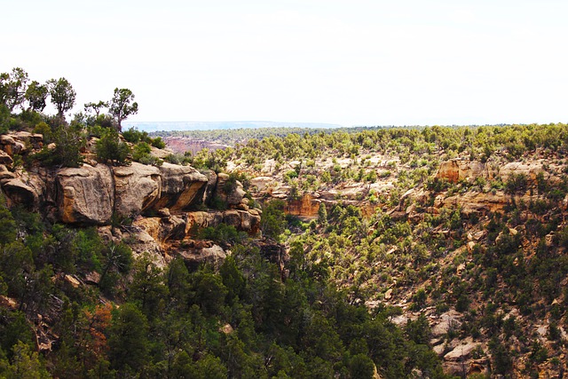 Mesa Verde – Parco Nazionale del County Colorado – Terra Leone (Pixabay)