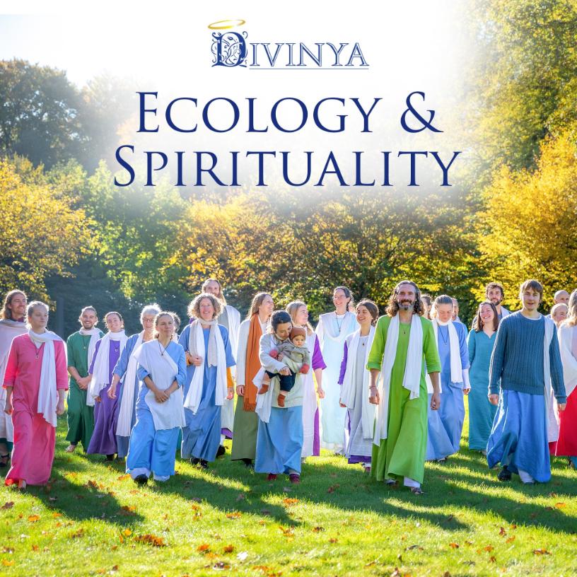 Scambio di volontariato in Svezia presso la comunità spirituale di DIvinya