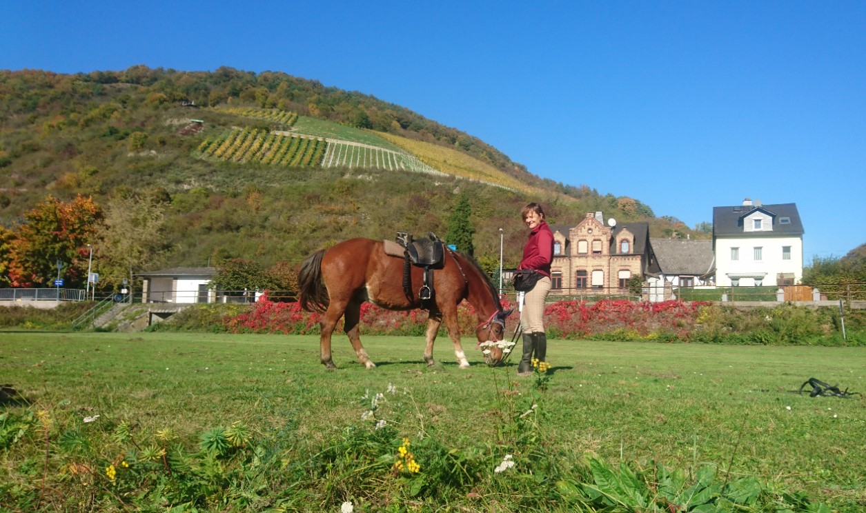 Scambio di ospitalità in una fattoria di cavalli vicino a Colonia in Germania