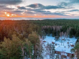 Estonia, volontariato, esperienze magiche, foresta incantata, isola
