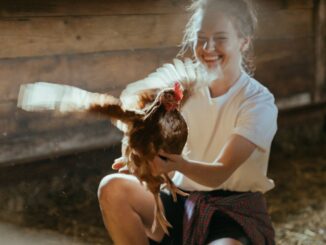 casa delle galline, autosufficienza, fattoria ecologica, pollaio,