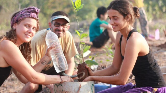 Sadhana Forest, volontariato, volonturismo, India, ecovillaggio, comunità intenzionale, volontarie