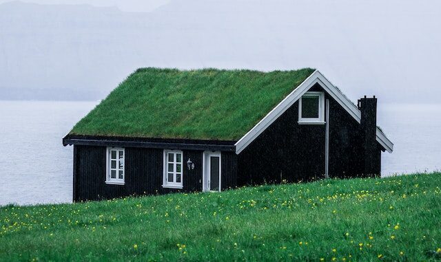 green roof, tetti verdi, casa indipendente, bioedilizia, giardino sul tetto