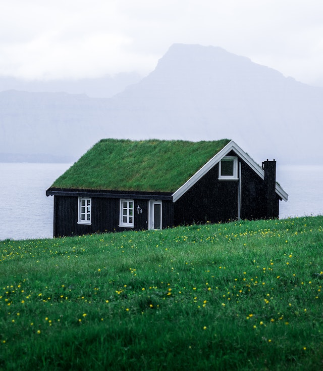 Casa con “tetto verde” – foto di Tomáš Malík via Pexels
