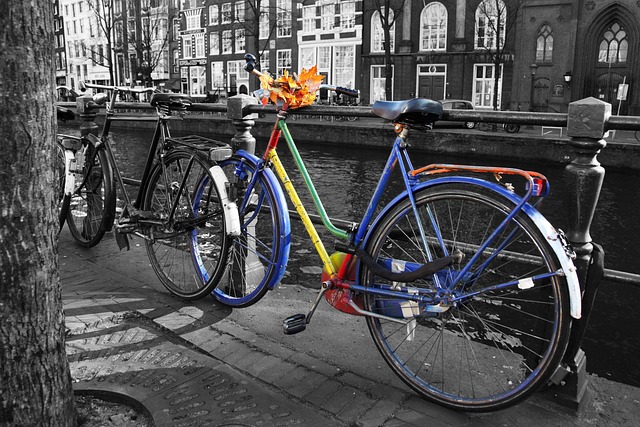 Bicicletta ad Amsterdam – foto di PublicDomainPictures – via pixabay