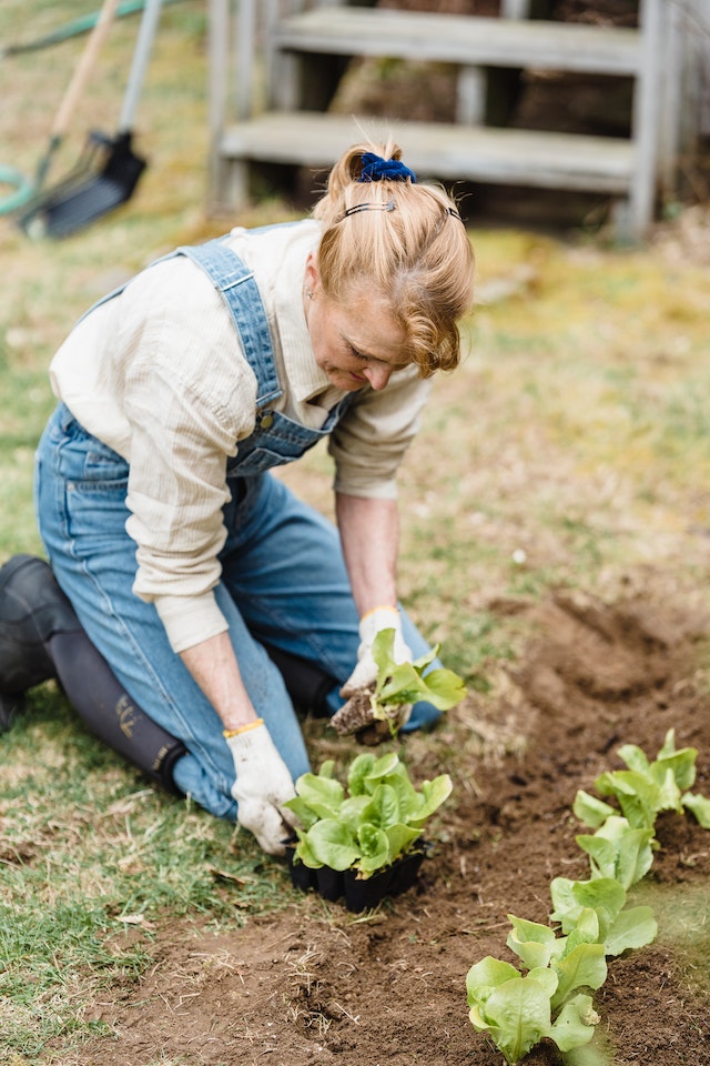 Imparare a fare un orto – foto di Greta Hoffmann – via pexels