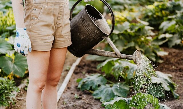 fare un orto, irrigazione, acqua, contadina, fattoria educativa