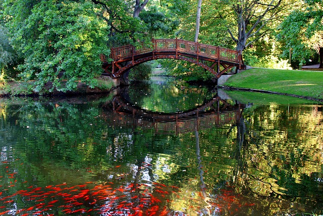 Johanna Park a Leipzig (Lipsia) un canale con i pesci rossi – foto via pixabay