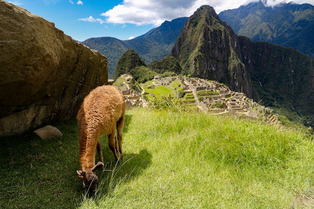 Macchu Picchu – foto di Daniel Rojas Luzquiños – pexels