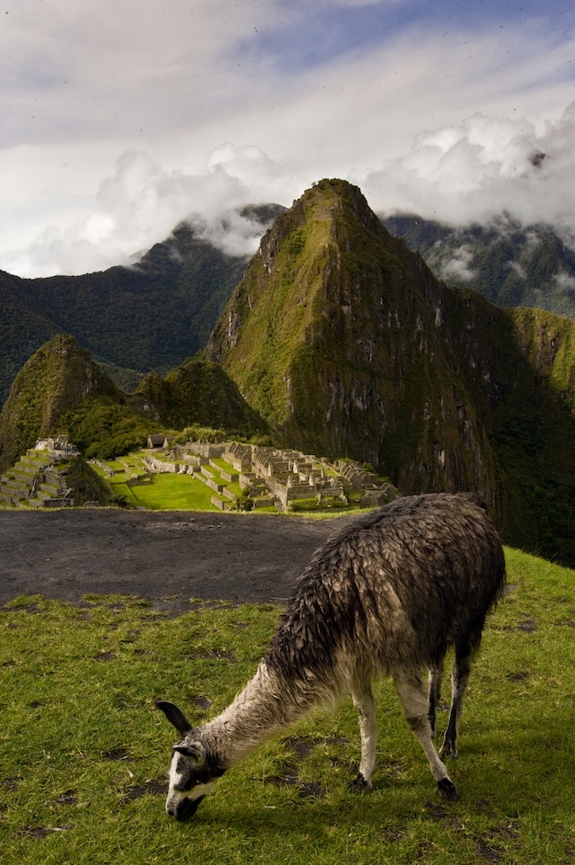 Macchu Picchu – foto di Tommaso Picone – pexels