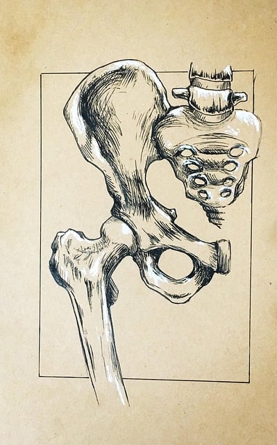 ossa, femore, curiosità, anatomia, corpo umano, primo segno di civiltà