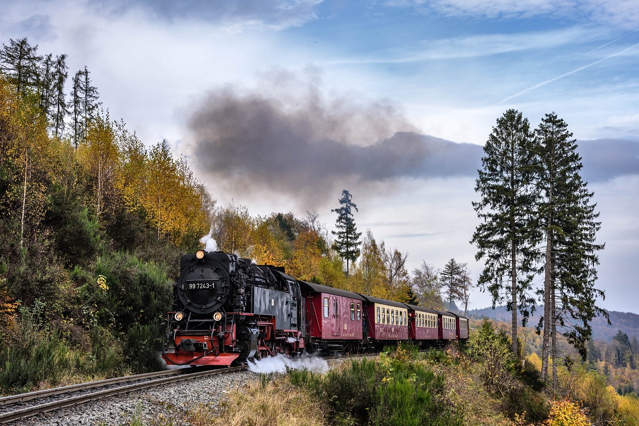 La ferrovia storica del parco nazionale Harz in Germania