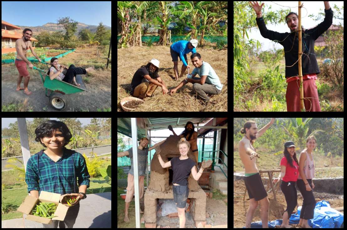 Impara i metodi della Permacultura e i principi della Food Forest in India
