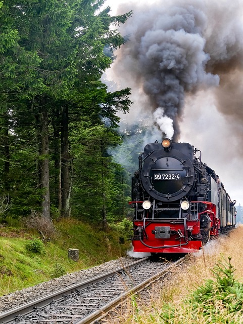 Treno a vapore storico del parco nazionale Harz in Germania