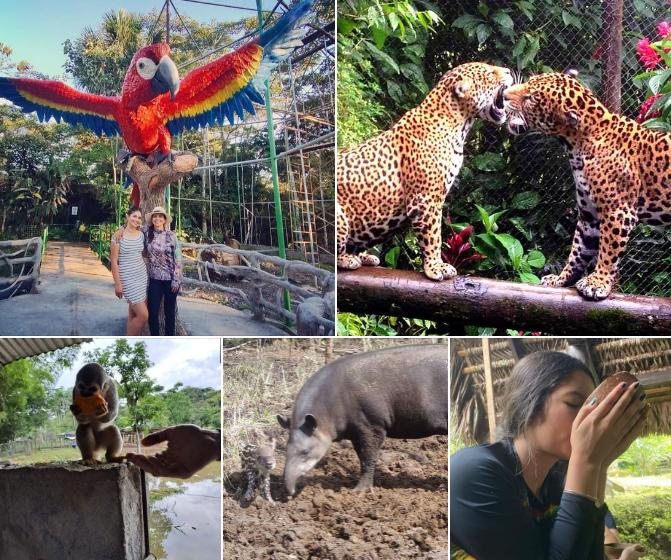 volontariato zoo Ecuador