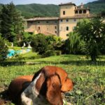 Scambio di ospitalità in un castello della Toscana