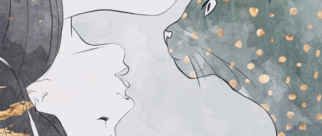curiosità sui gatti, felini, illustrazione, etologia, zoologia, comportamento
